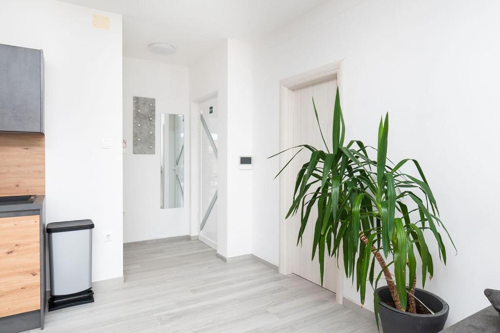 Apartments Grubisic - Sibenik - Parking Included 외부 사진